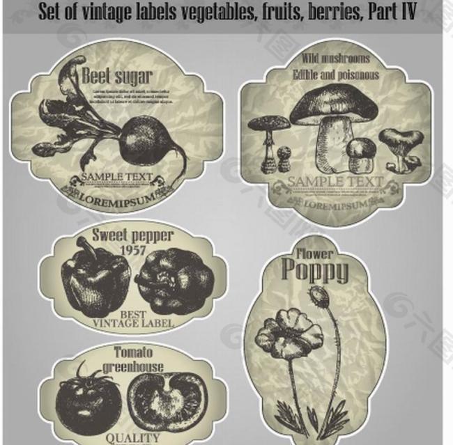 怀旧蔬菜标签图片
