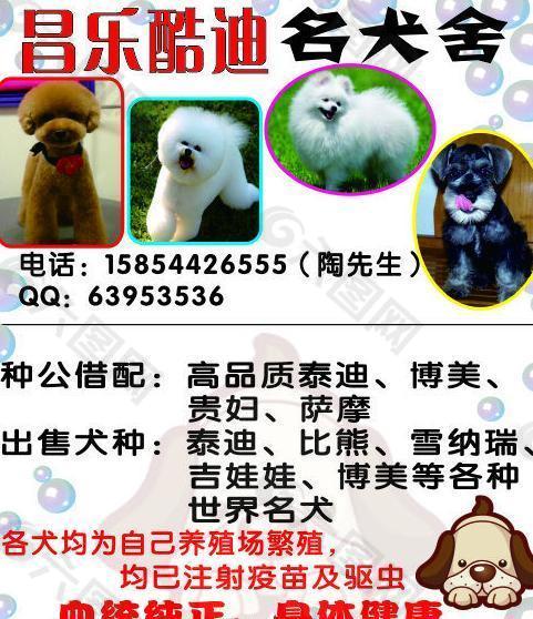 名犬名片图片