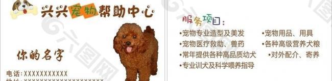 宠物名片 狗狗名片图片