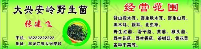 野生菌类名片图片