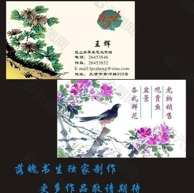 花鸟名片图片