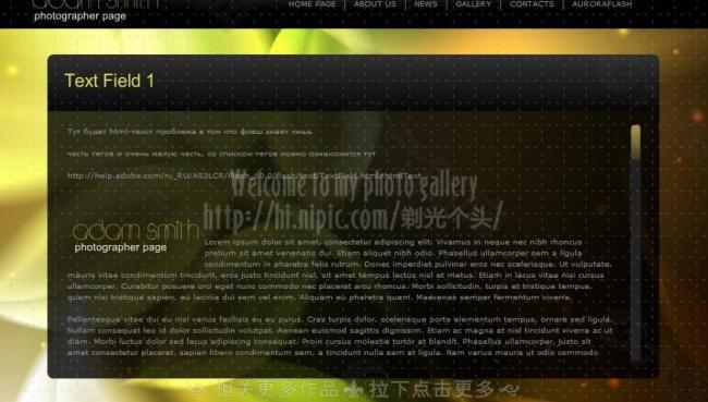 网站flash设计图片