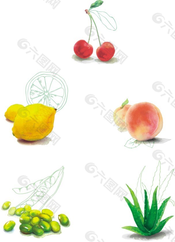 水彩画水果
