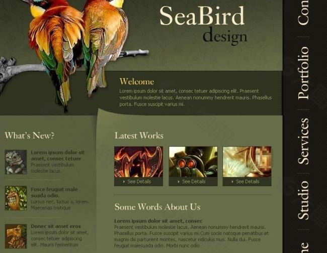 海鸟设计公司图片