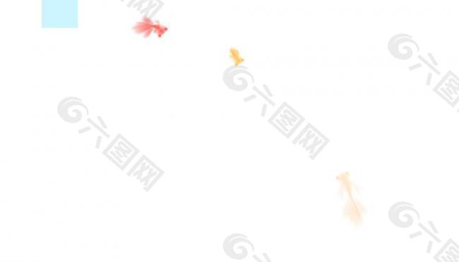 动态金鱼动画素材图片