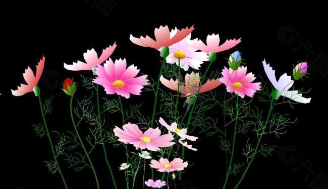 花朵背景动画素材图片