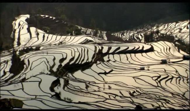 山水梯田视频素材图片