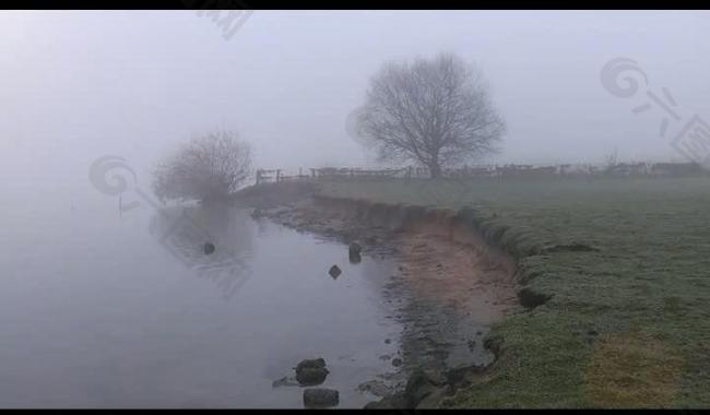 清晨河边雾气树木视频图片