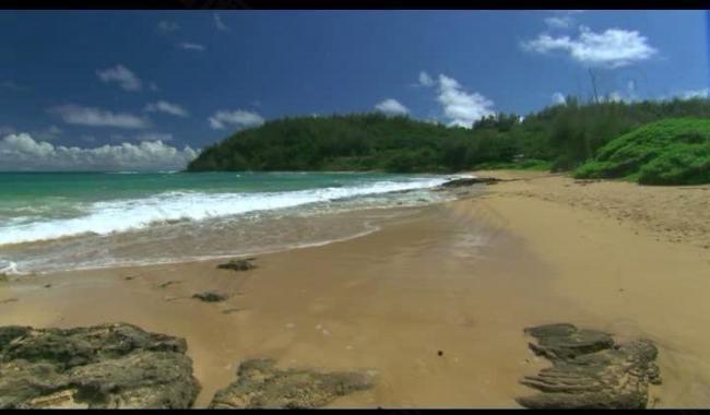 海岸海滩风景画视频图片