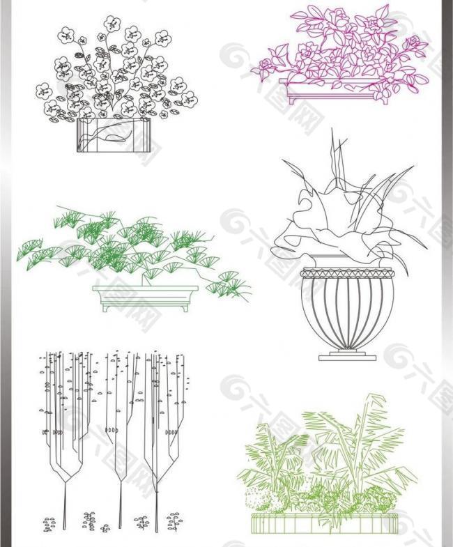 植物立面图图片