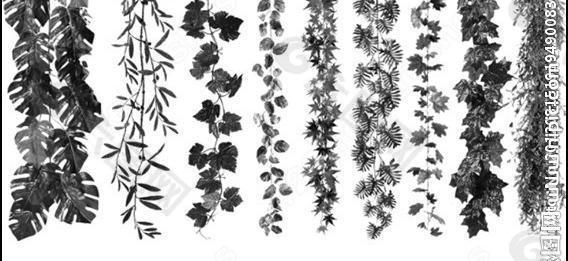 植物挂枝叶簇ps笔刷图片