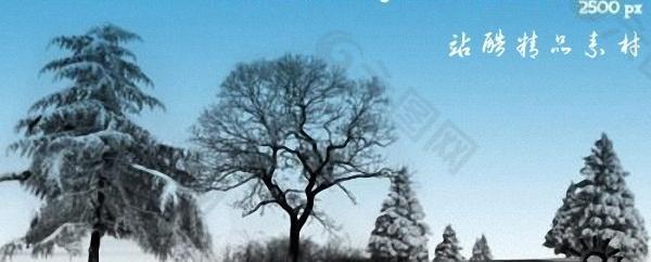 高清晰冬天的大树ps笔刷图片