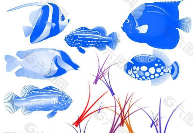 海洋鱼类笔刷图片