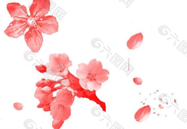 樱花及花瓣笔刷图片