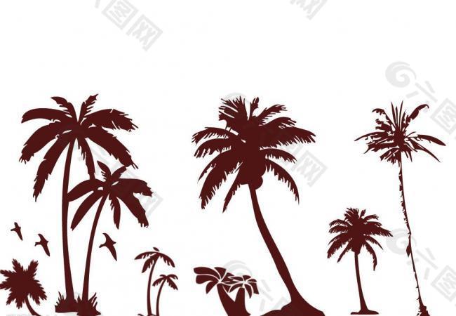 椰树图片