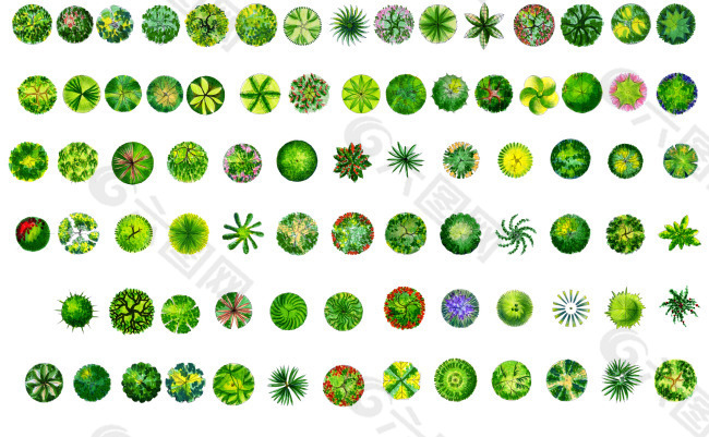 植物常见PS平面素材