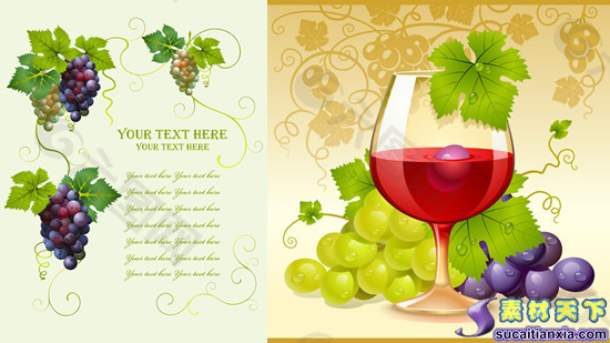 葡萄与红酒矢量素材 eps格式