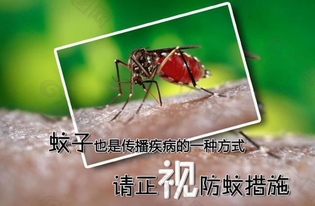 防蚊公益广告图片