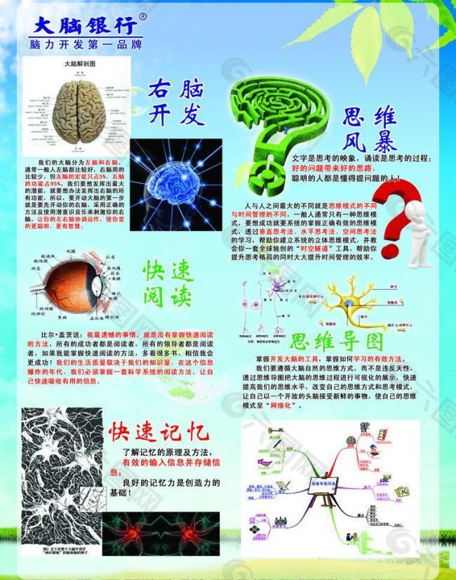 大脑银行图片