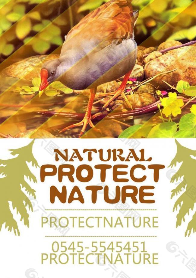保护大自然海报图片