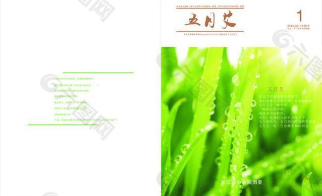 五月艾封面图片