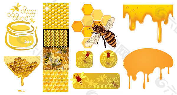 ++蜜蜂 蜂蜜 蜂窝 矢量素材++