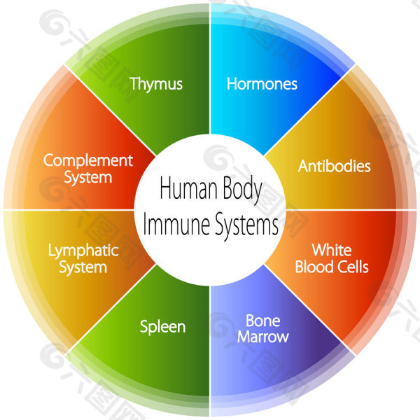 人体免疫-矢量素材