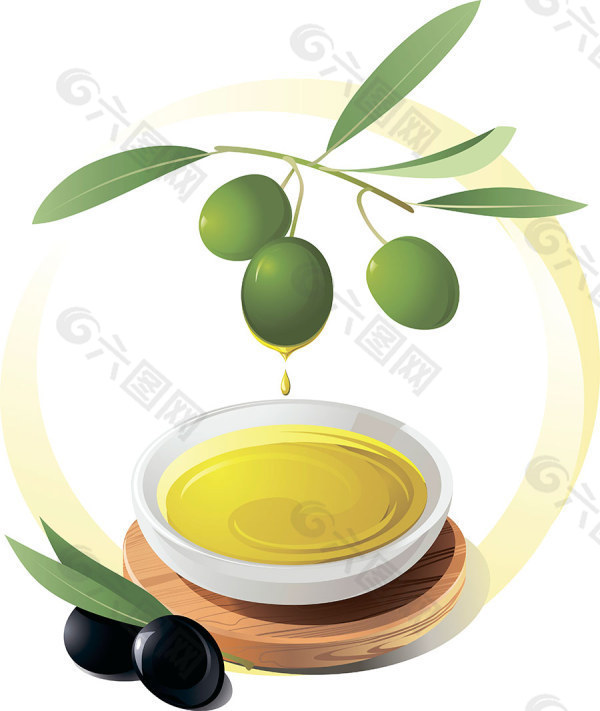 卡通橄榄油—矢量素材