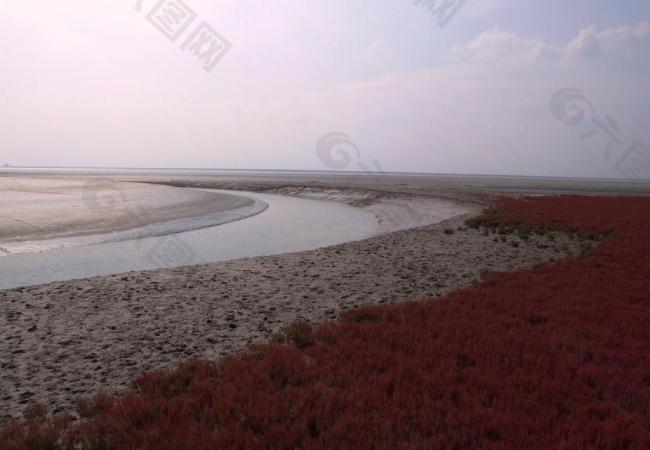 盘锦红海滩图片
