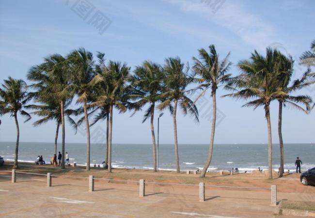 海南假日海滩椰子树图片