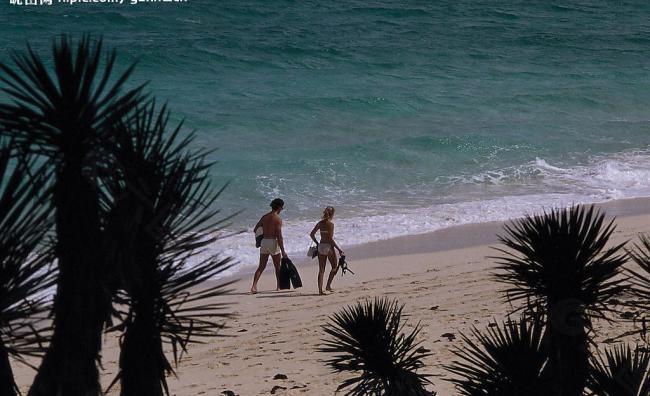 加勒比海风光-----海滩系列五图片