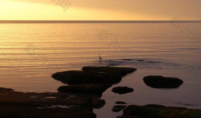 海滩 礁石 海面 夕阳 地平线图片