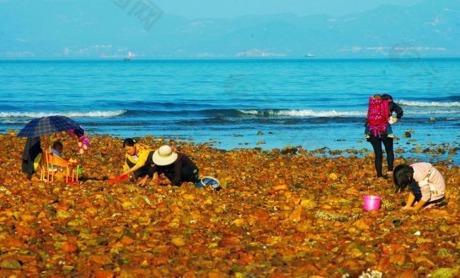 中国海洋风光 南澳杨梅坑图片