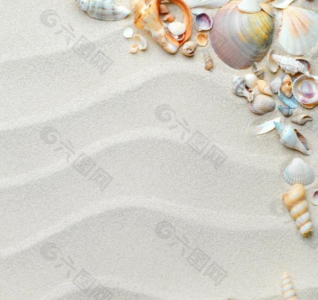 沙滩 贝壳 海螺 海星图片