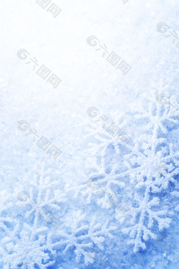 璀璨的雪花背景02——高清图片