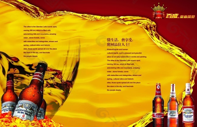 百威啤酒时尚高端的画册宣传封面