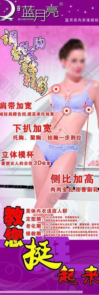 内衣广告图片