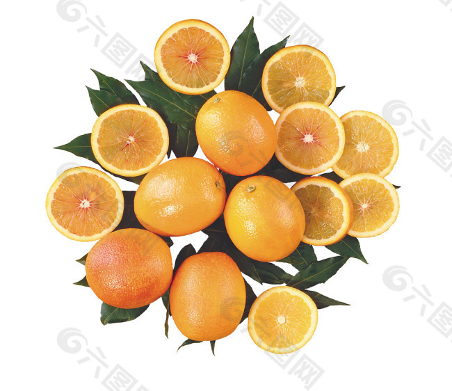 很多橙子