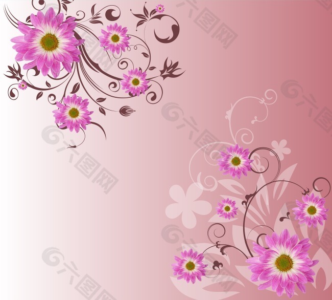 菊花 玫瑰  百合  枫树  紫色