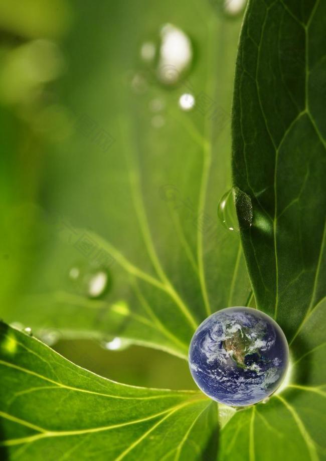 绿叶 地球 水 水滴图片