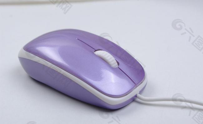 紫色鼠标图片
