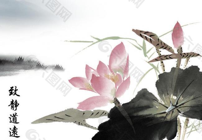 水墨画 荷花图图片