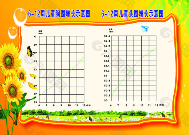 6-12周儿童胸围头围增长示意图