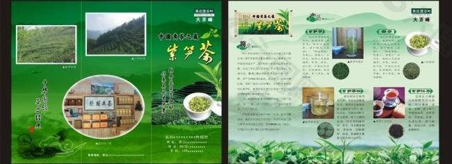 紫笋茶三折页图片