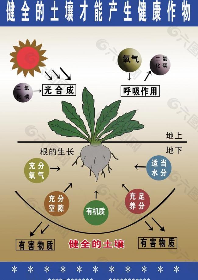 健全的土壤图片