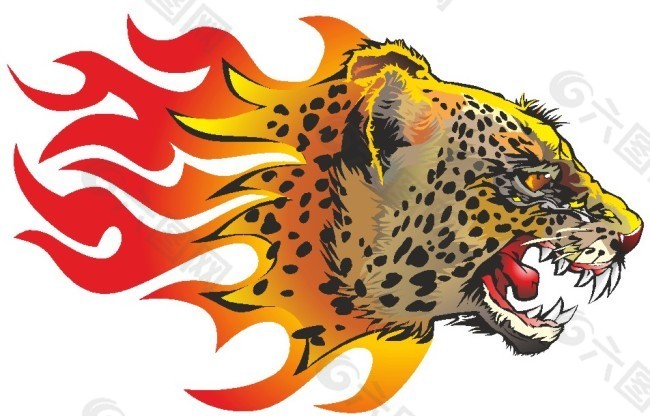 火焰豹子头图片