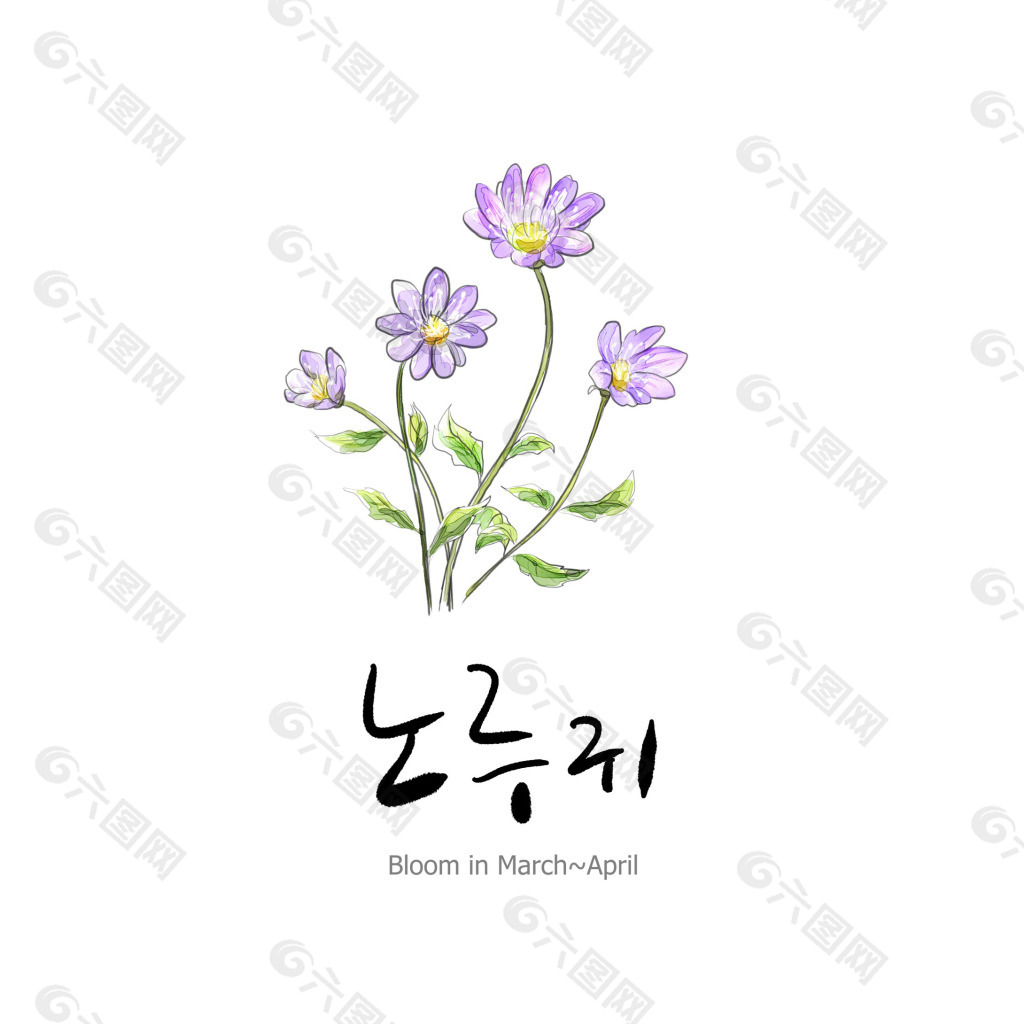 韩国小清新花朵背景