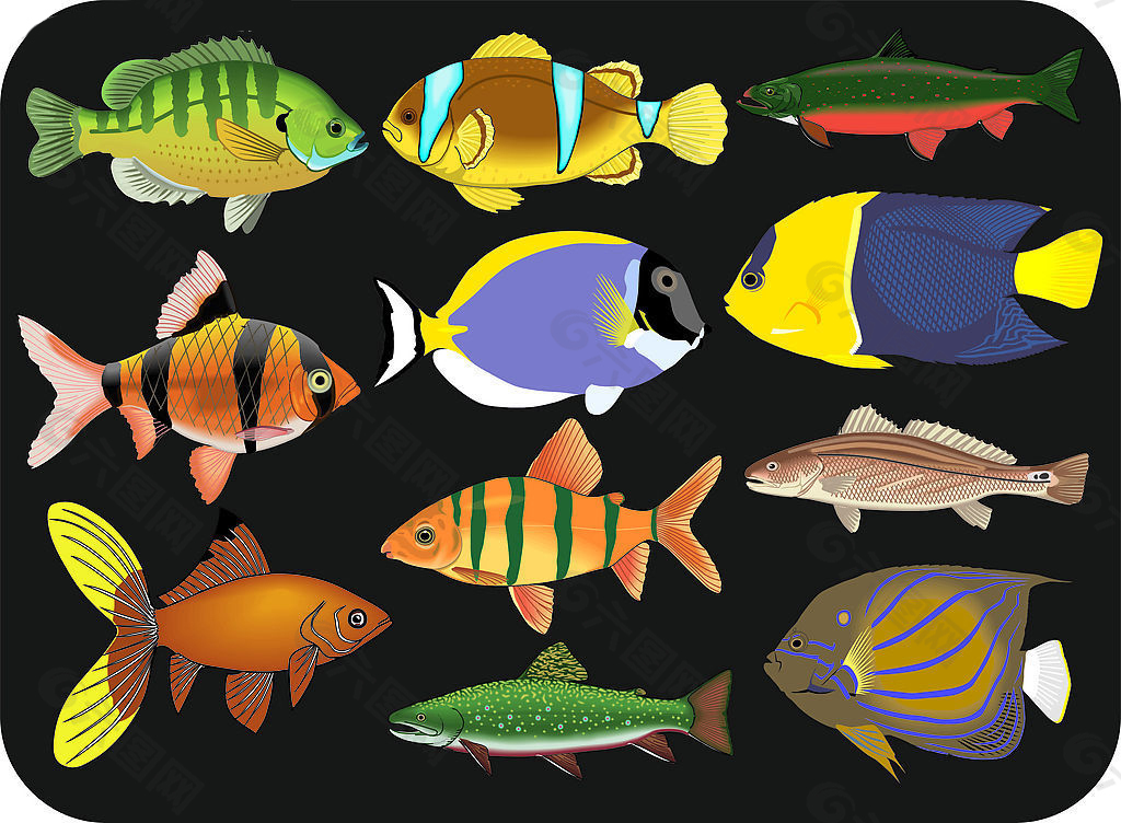 海洋生物鱼类彩色标志素材