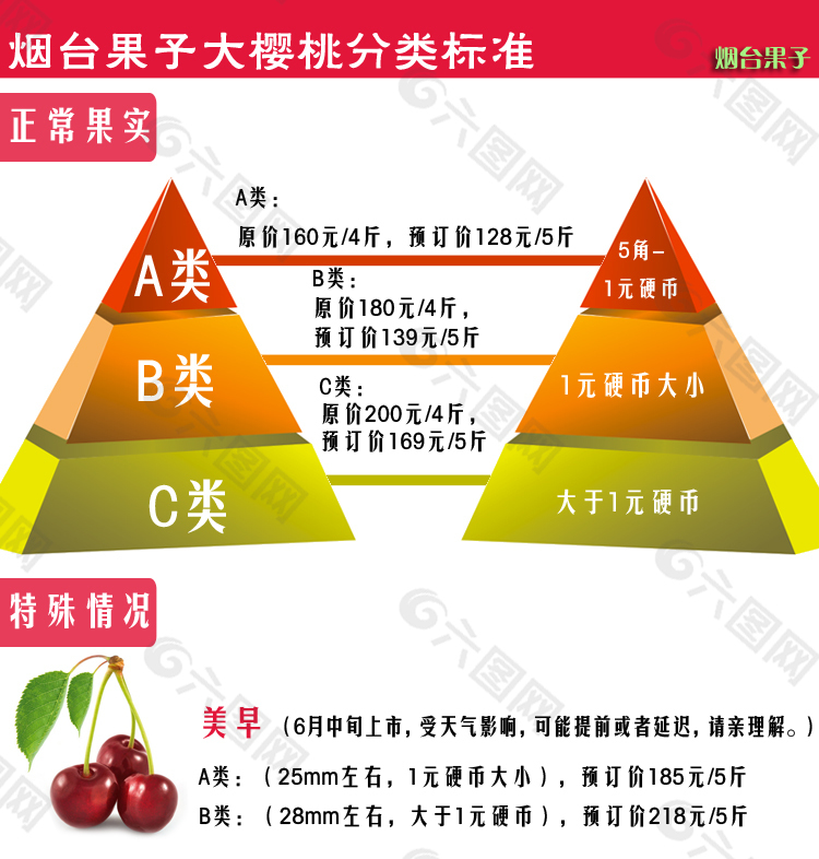 果实金字塔