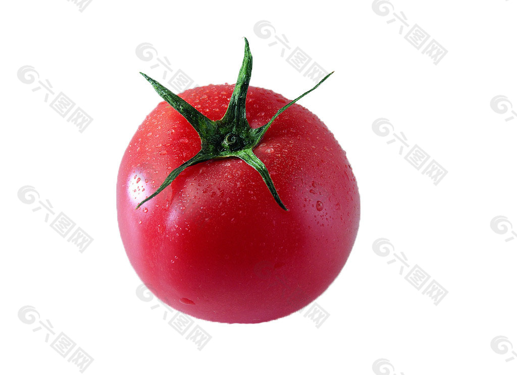 一个番茄素材